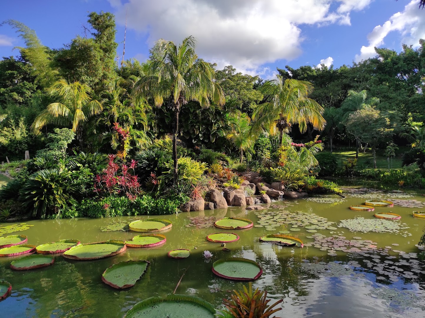 La Rinconada Ecoparque y Restaurante — foto 3