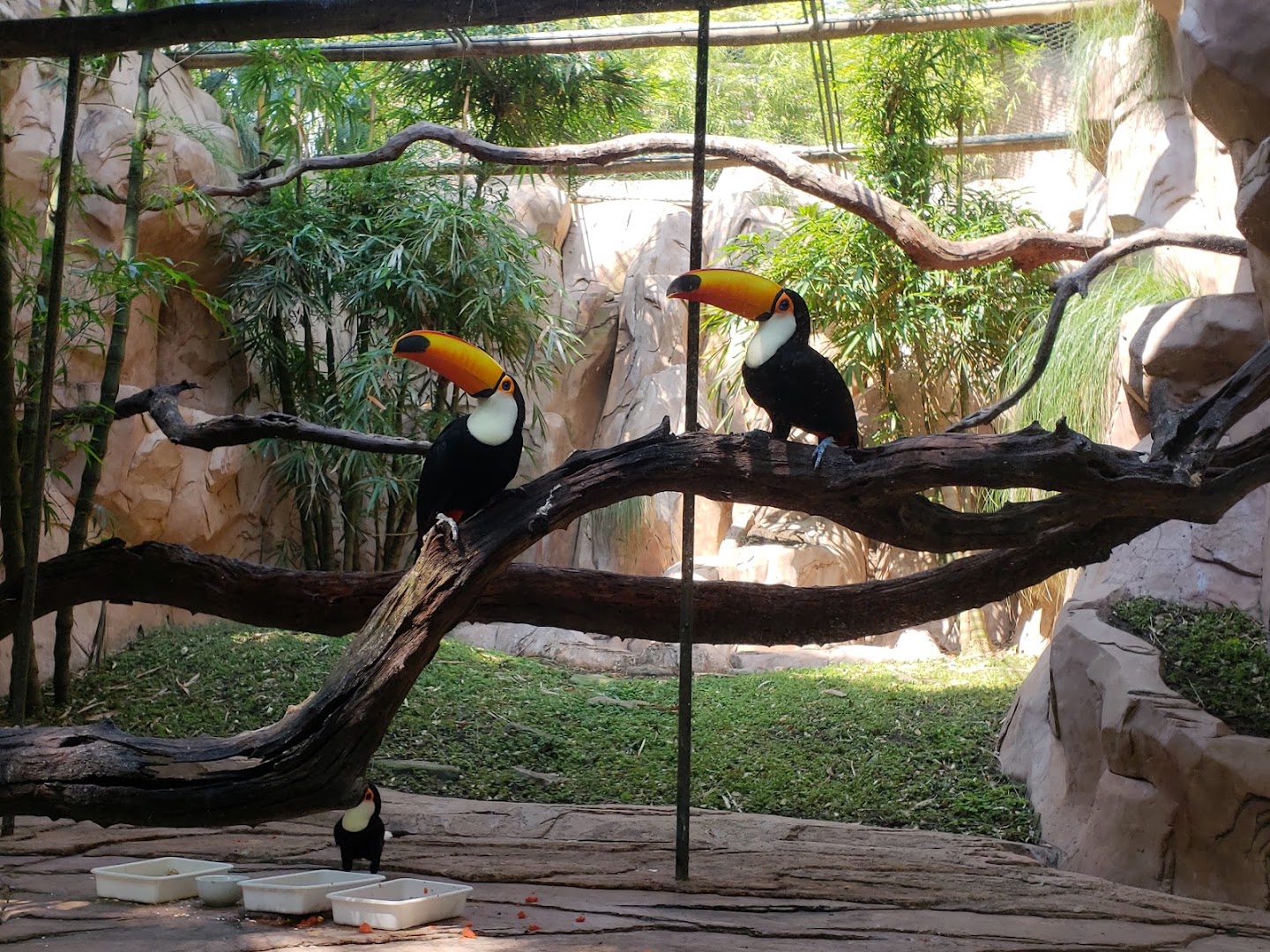 La Rinconada Ecoparque y Restaurante — foto 8