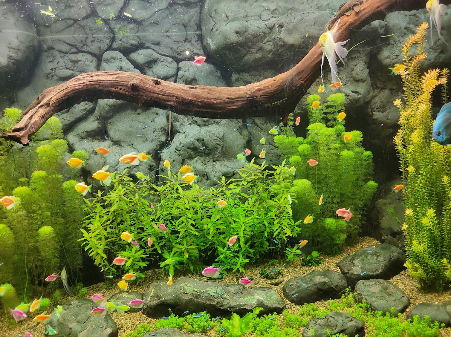 La Rinconada Ecoparque y Restaurante — foto 5