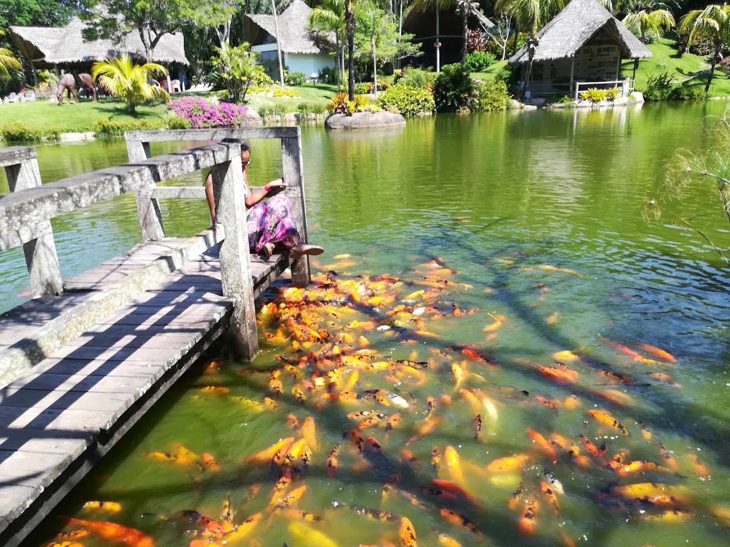 La Rinconada Ecoparque y Restaurante — foto 9