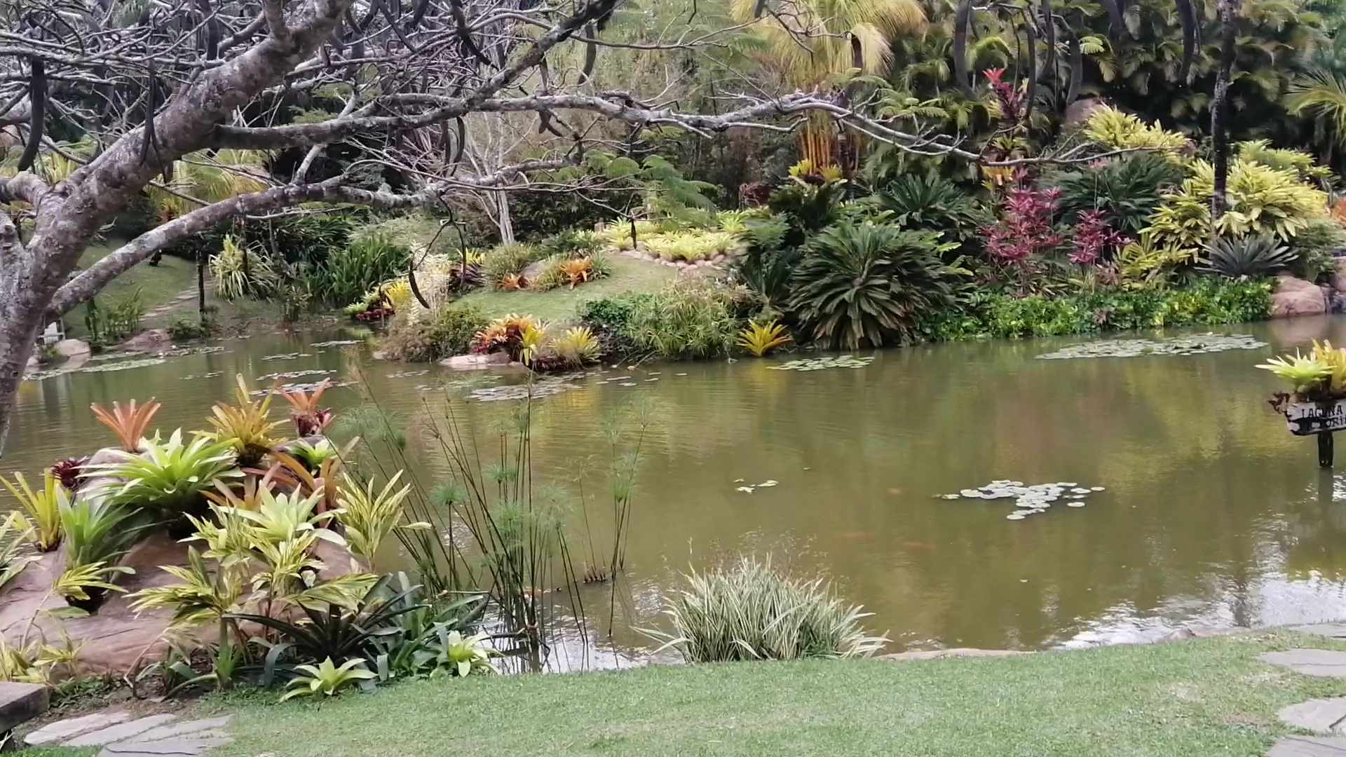 La Rinconada Ecoparque y Restaurante — foto 1